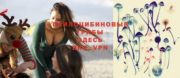 ПСИЛОЦИБИНОВЫЕ ГРИБЫ Осинники